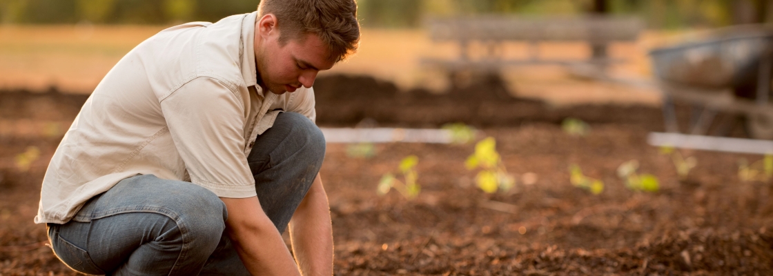 farmer