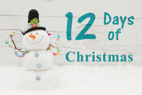 12 Days of Christmas