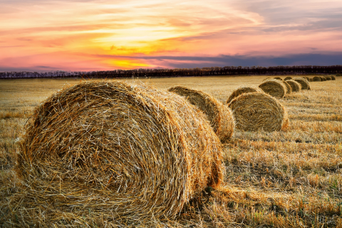 save on farm